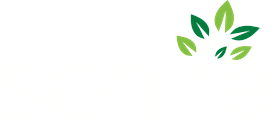 Sonlife Church